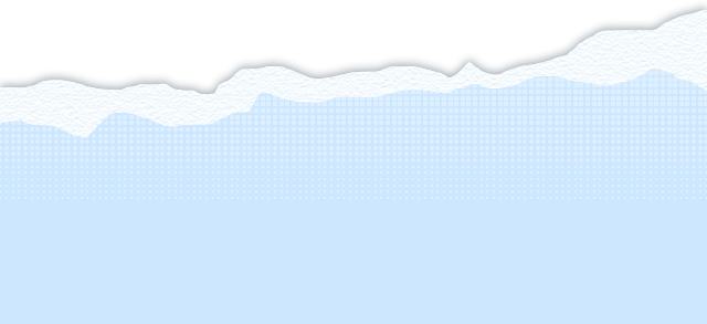 组 4.png
